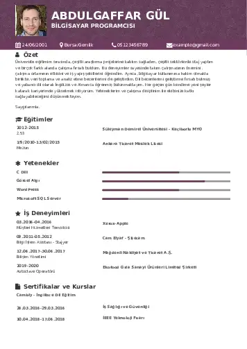 Bilgisayar Programcısı CV Örnekleri cv indir